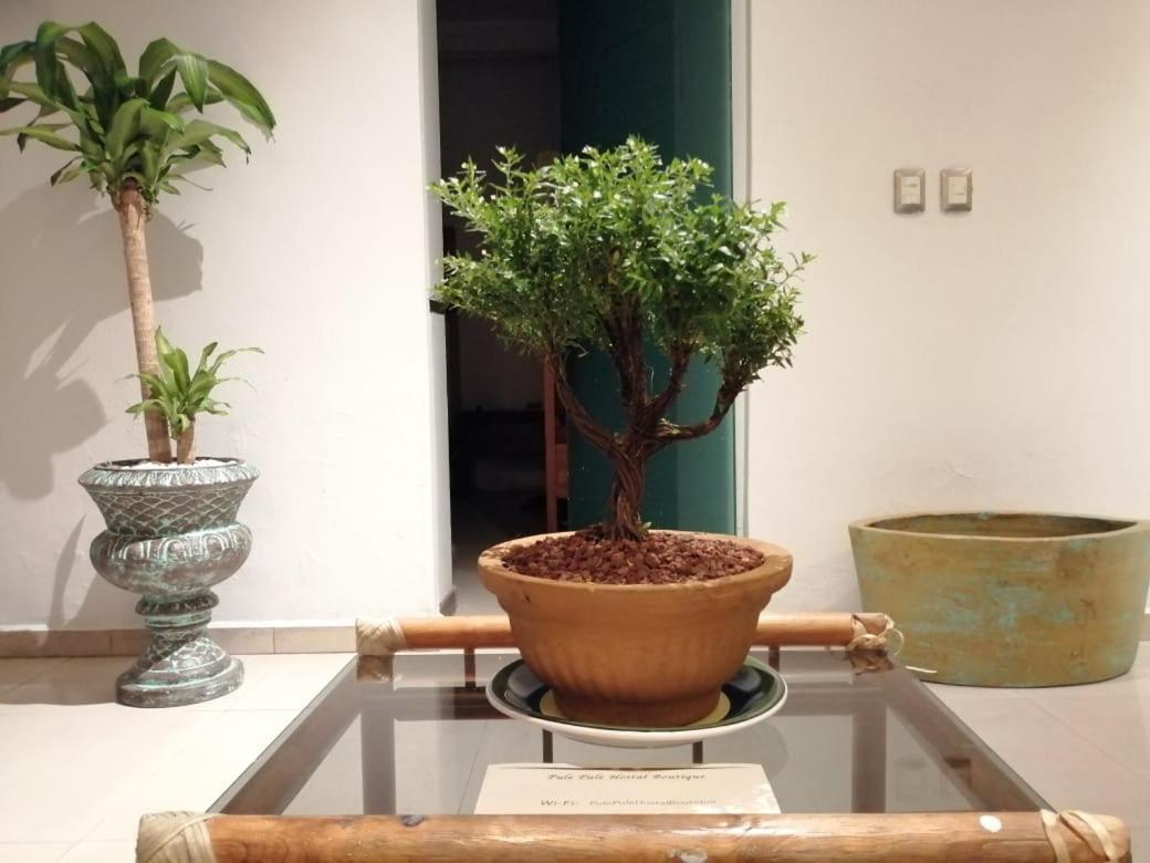 Pule Pule Hostal Boutique Guadalajara Kültér fotó